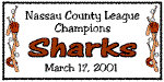 TEAM050.gif (10840 bytes)